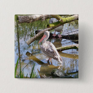 PELICANS 15 CM SQUARE BADGE