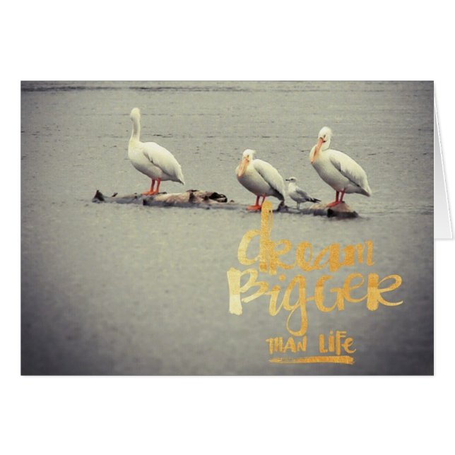 Pelicans and Seagull Dream Bigger Inspiring (Front Horizontal)