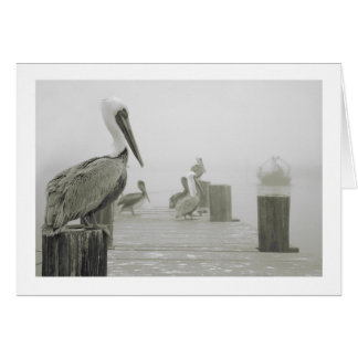 Pelicans and Shrimp boat
