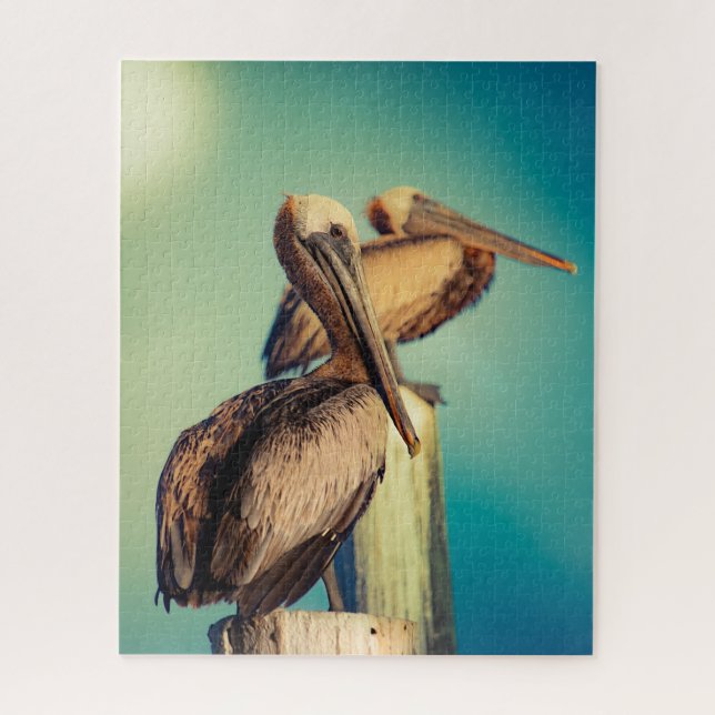 Pelicans at Dawn Jigsaw Puzzle (Vertical)