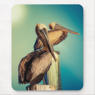 Pelicans at Dawn  Mouse Pad