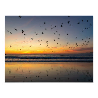 Pelicans at Sunset - Venice Beach, CA Photo Print