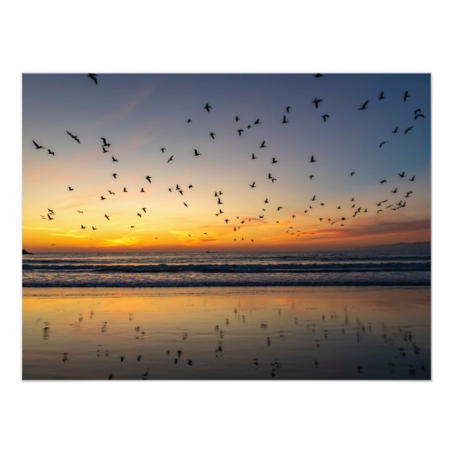 Pelicans at Sunset - Venice Beach, CA  Photo Print (Front)
