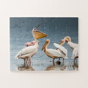 Pelicans at the lake jigsaw puzzle