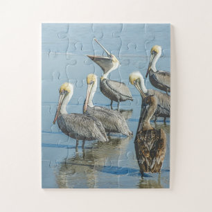 Pelicans Bird Nature Beach Oversized Jigsaw Puzzle