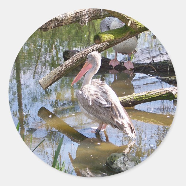 PELICANS CLASSIC ROUND STICKER (Front)