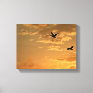 Pelicans flying at sunseet canvas print