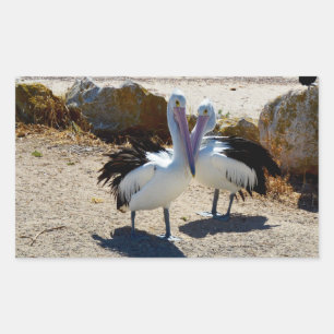 Pelicans In Love, Rectangular Sticker