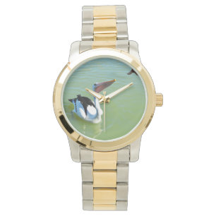 Pelicans Love Apple Pie, Watch