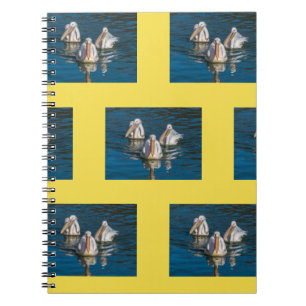 Pelicans notebook