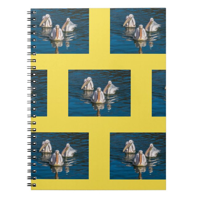 Pelicans notebook (Front)