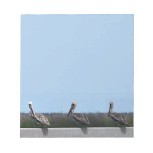 Pelicans Notepad