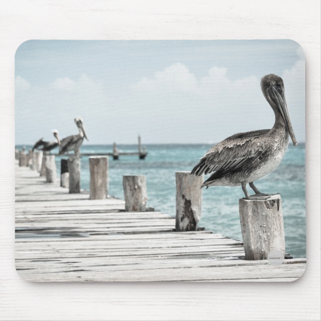 Pelicans on Dock Mouse Pad HAMbyWG (Front)
