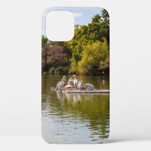 Pelicans on the Lake at the Phoenix Zoo iPhone 12 Case