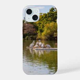 Pelicans on the Lake at the Phoenix Zoo iPhone 15 Case