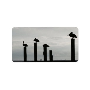 pelicans on the pier label