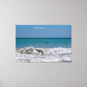 Pelicans over the Atlantic ocean Canvas Print