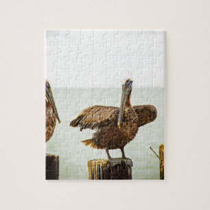 Pelicans perched on posts jigsaw puzzle
