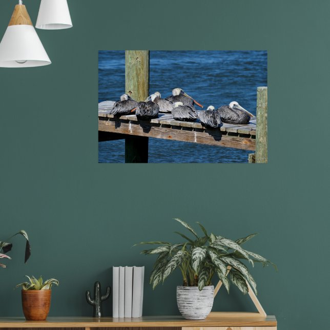 Pelicans resting on a dock poster (Living Room 1)