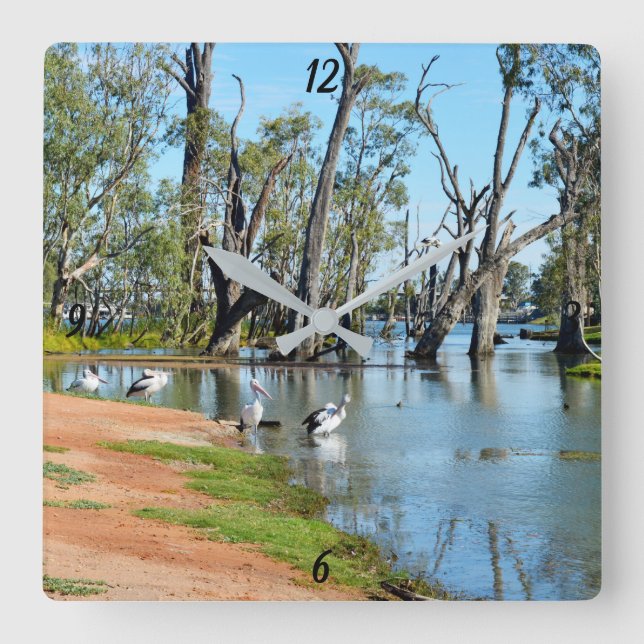 Pelicans Sunbaking River Murray,  Wall Clock (Front)