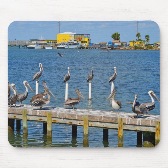 Pelicans Sunbathing Mouse Pad (Front)