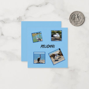 Pelicans The World Coolest Bird Four Photo Frames, Card
