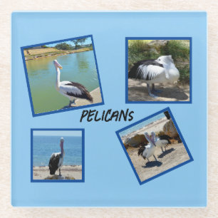 Pelicans The World Coolest Bird Four Photo Frames, Glass Coaster
