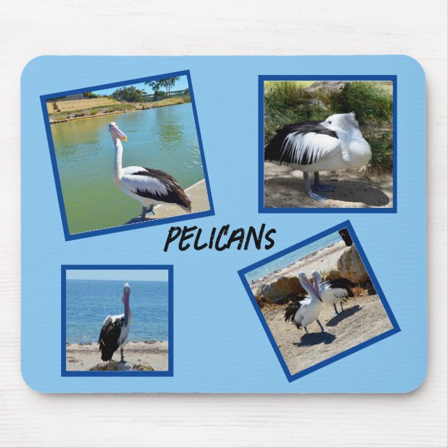 Pelicans The World Coolest Bird Four Photo Frames, Mouse Pad (Front)