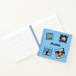 Pelicans The World Coolest Bird Four Photo Frames, Notebook