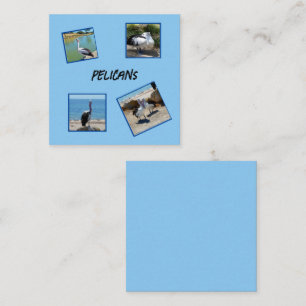 Pelicans The World Coolest Bird Four Photo Frames, Square Business Card