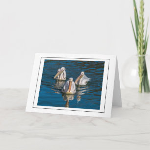Pelicans up close greeting card