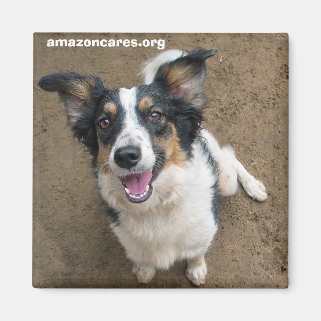 Pelusa Magnet (Front)