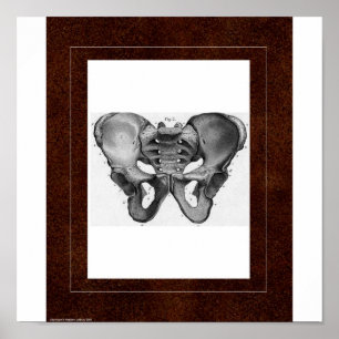 Pelvis Spirit House Poster