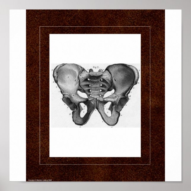 Pelvis Spirit House Poster (Front)