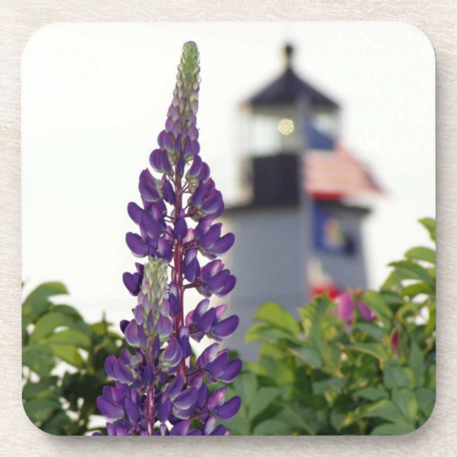 Pemaquid Lupin Coaster (Front)