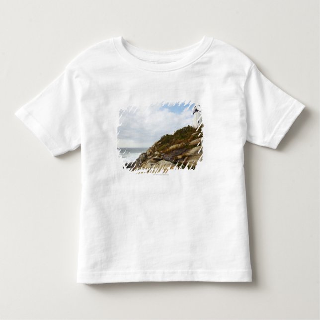Pemaquid Point Lighthouse on a Rocky Hillside Toddler T-Shirt (Front)