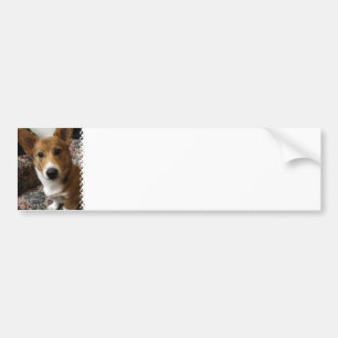 Pembroke Corgi Bumper Sticker