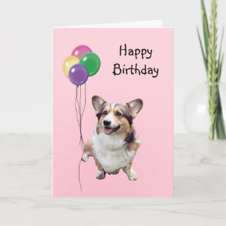 Pembroke Welsh Corgi, Birthday Balloons Card