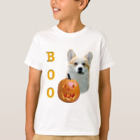 Pembroke Welsh Corgi Boo