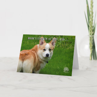 Pembroke Welsh Corgi Card