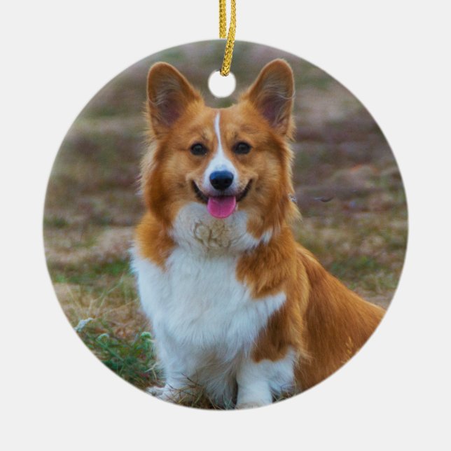 Pembroke Welsh corgi Dog Ceramic Ornament (Front)