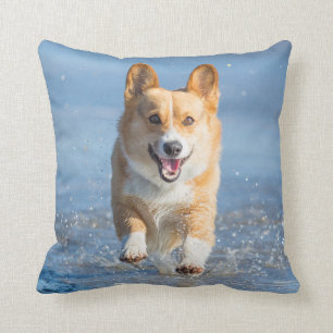 Pembroke Welsh Corgi Dog Running On The Beach Cushion
