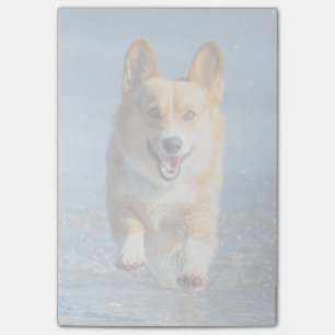 Pembroke Welsh Corgi Dog Running On The Beach Post-it Notes