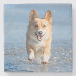 Pembroke Welsh Corgi Dog Running On The Beach Stone Coaster