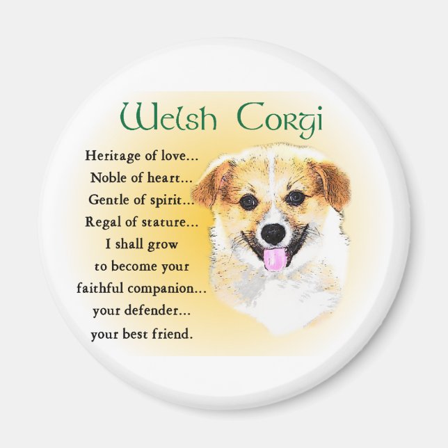 Pembroke Welsh Corgi Gifts Magnet (Front)