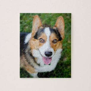 Pembroke Welsh Corgi Jigsaw Puzzle