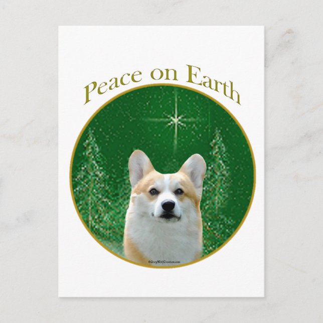 Pembroke Welsh Corgi Peace Postcard (Front)