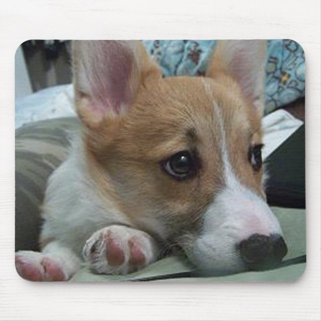 pembroke welsh corgi puppy 2 mouse pad (Front)