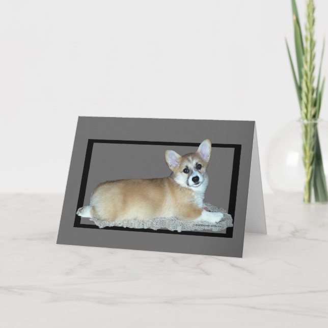 Pembroke Welsh Corgi Puppy Card (Front)