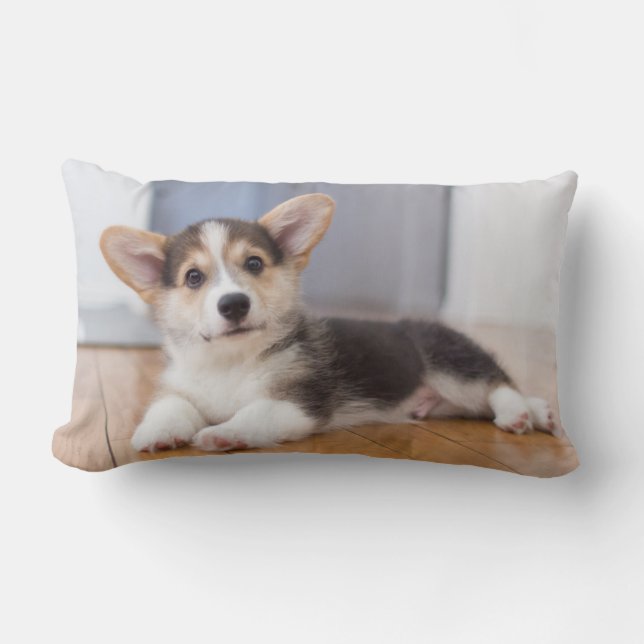Pembroke Welsh Corgi Puppy Lumbar Cushion (Front)